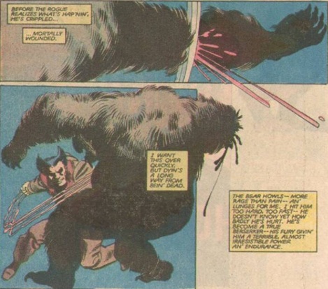Wolverine Bear Fight