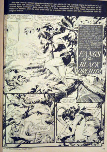 Savege Tales 6 (Ka-Zar! Cover pictat Neal Adams!) - Image 4