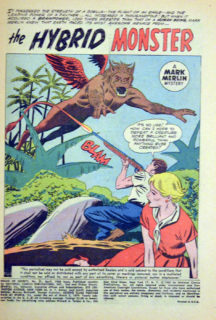 House of Secrets 31 - Image 2