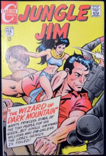 Jungle Jim 22 benzi desenate Charlton Comics