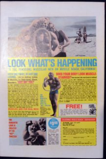 Jungle Jim #22 - Image 3