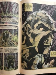 Swamp thing 1 dc comics benzi vechi numar cheie