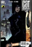 Adam Hughes DC Comics Catwoman