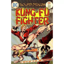 Kung-Fu Fighter 2